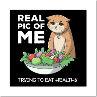 Funny Diet Cat Weightloss Fasting Gym Workout Fitness Health Posters and Art